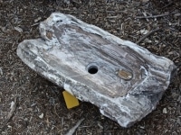 Petrified wood sink
